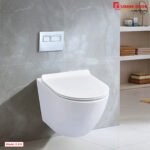 Alibaba Luxury Wall Hung Commode D 012